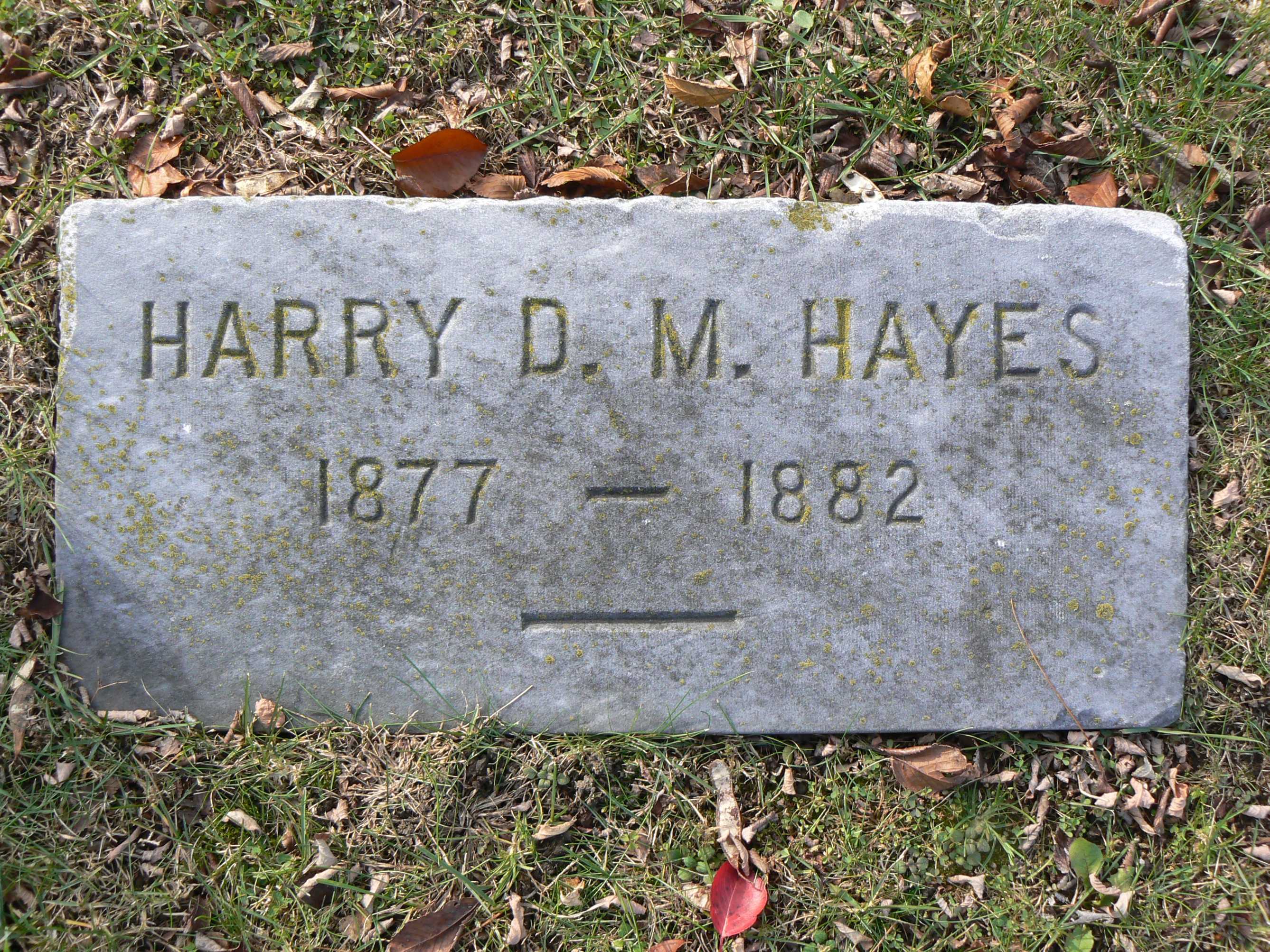 Rhode Island Historic Cemeteries - Person Details